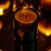 Olive Tree Candle