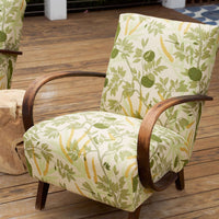 Halabala Chair in Sharifa Parrot