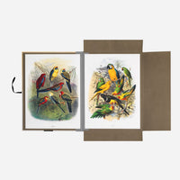 Tropical Birds Portfolio