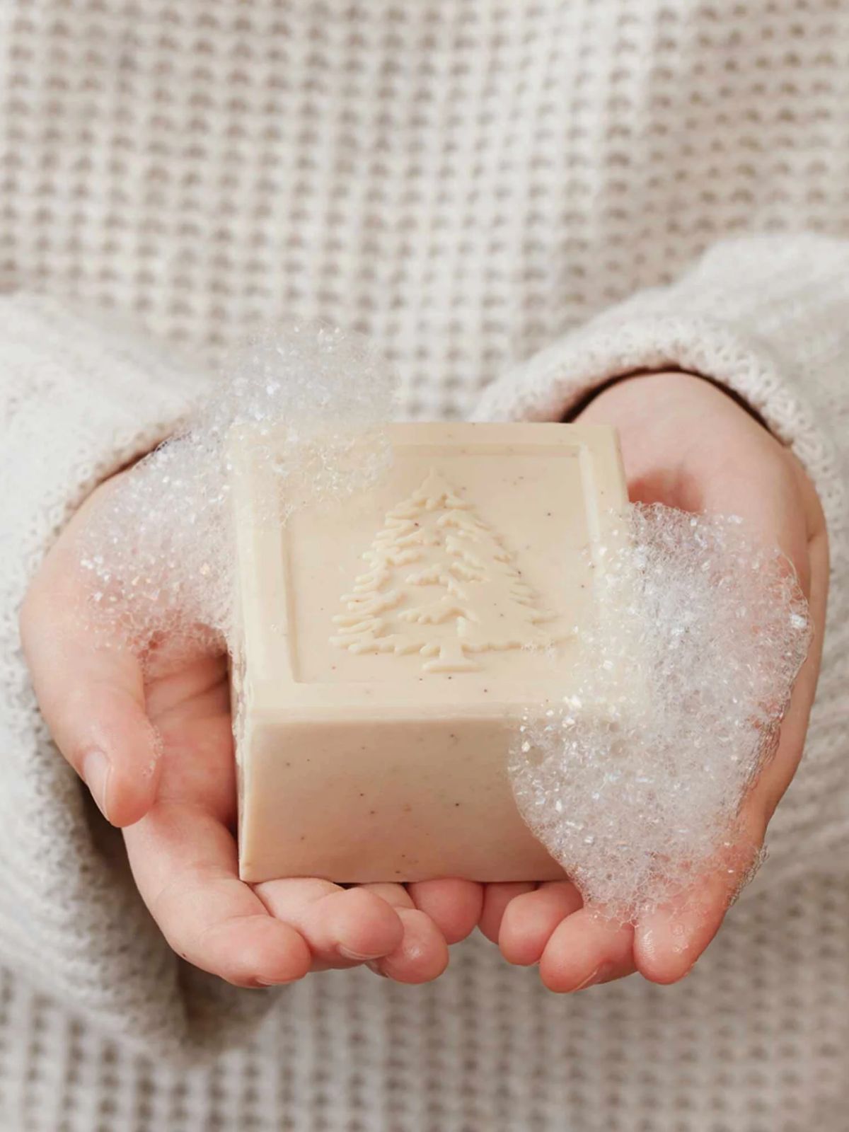 Frasier Fir Bar Soap and Dish Set