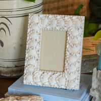 White Shell Frame
