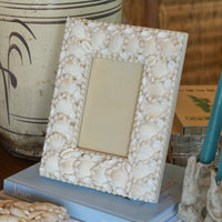 White Shell Frame