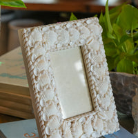 White Shell Frame