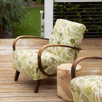 Halabala Chair in Sharifa Parrot