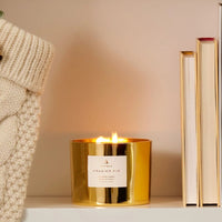 Frasier Fir Gold 3-Wick Candle