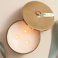 Frasier Fir Frosted Plaid 3-Wick Candle