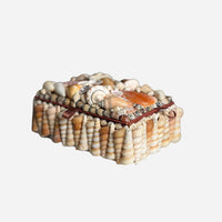Pecten & Turritella Mixed Shell Box