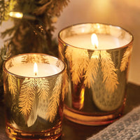 Frasier Fir Gilded 13 oz Poured Candle