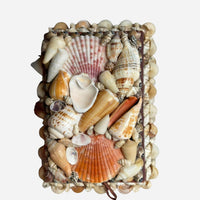 Pecten & Turritella Mixed Shell Box