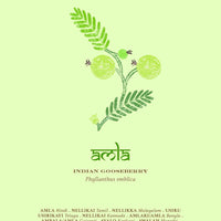 The Herbal Sutra Book