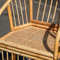 Rattan Counter Stool