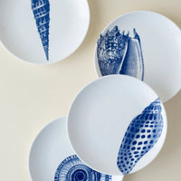 Canape Blue Shell Plates, Set of 4