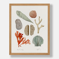 Beach Combing Print