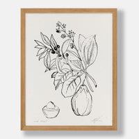 Avocado Botanical Print