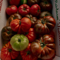 Roma Heirloom Tomato Candle