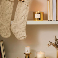 Frasier Fir Gilded Frosted Wood Grain Candle