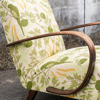 Halabala Chair in Sharifa Parrot