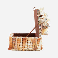 Turritella Mixed Shell Box