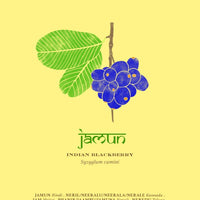 The Herbal Sutra Book