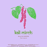 The Herbal Sutra Book