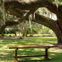 English Oak Refectory Table