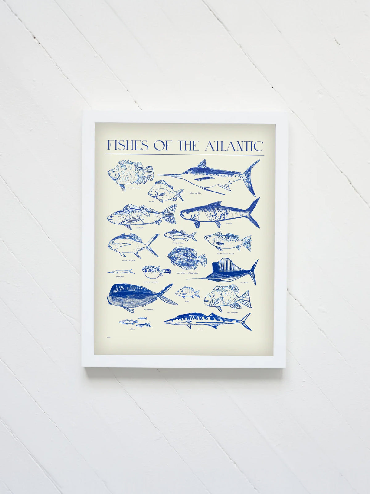 Fishes Of The Atlantic Print