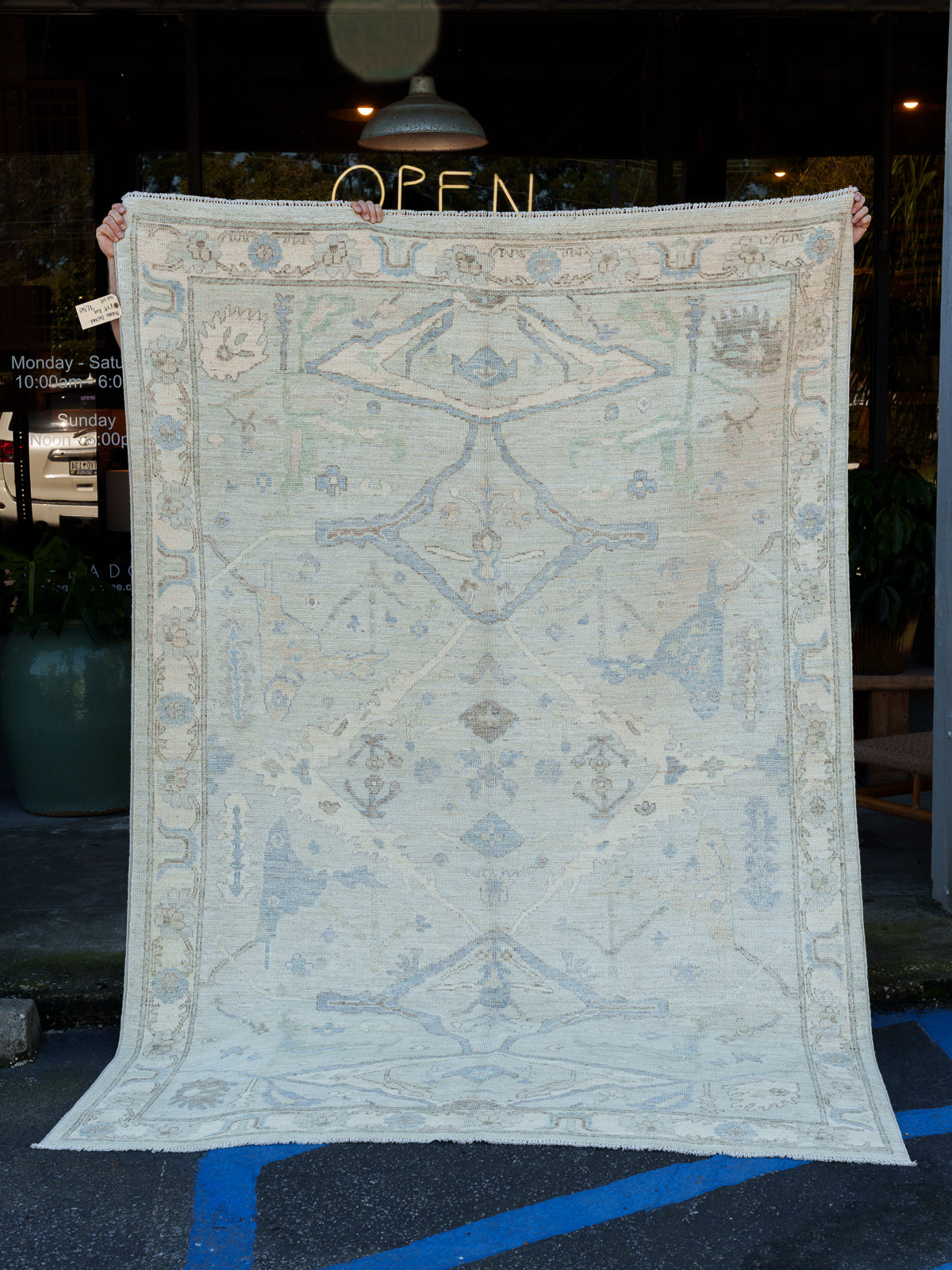 Modern Oushak Rug, 6' x 9'