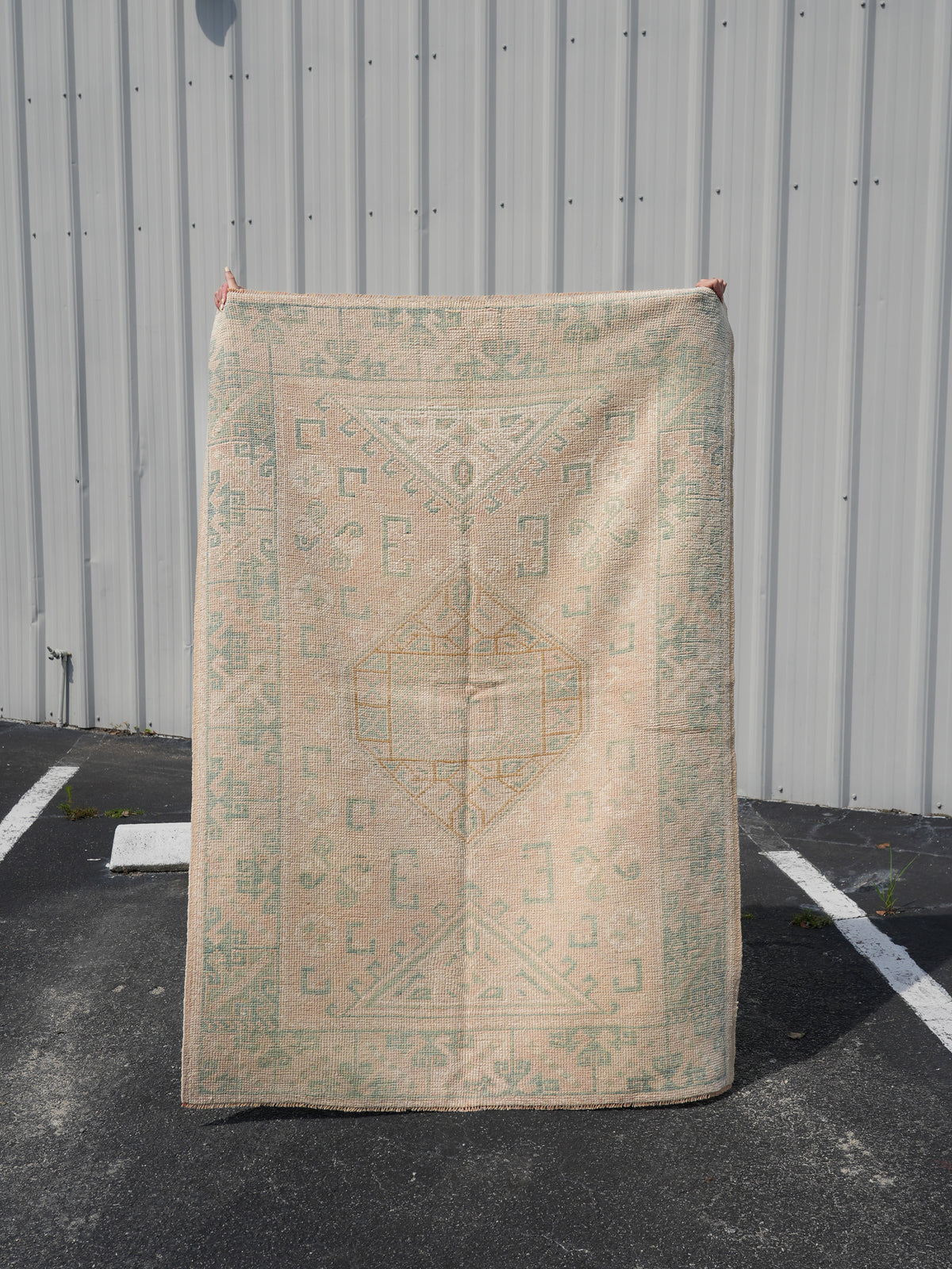 Anatolian Rug