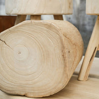 Tree Trunk Stool