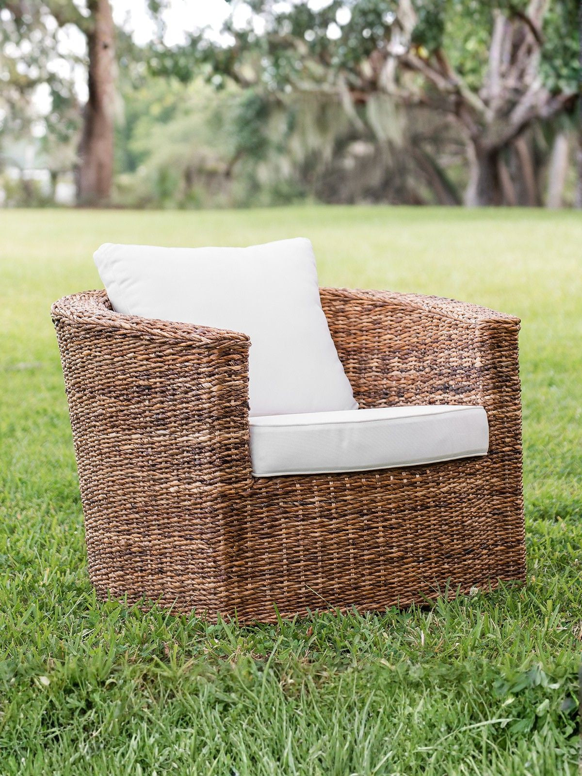 Luciana Outdoor Arm Chair