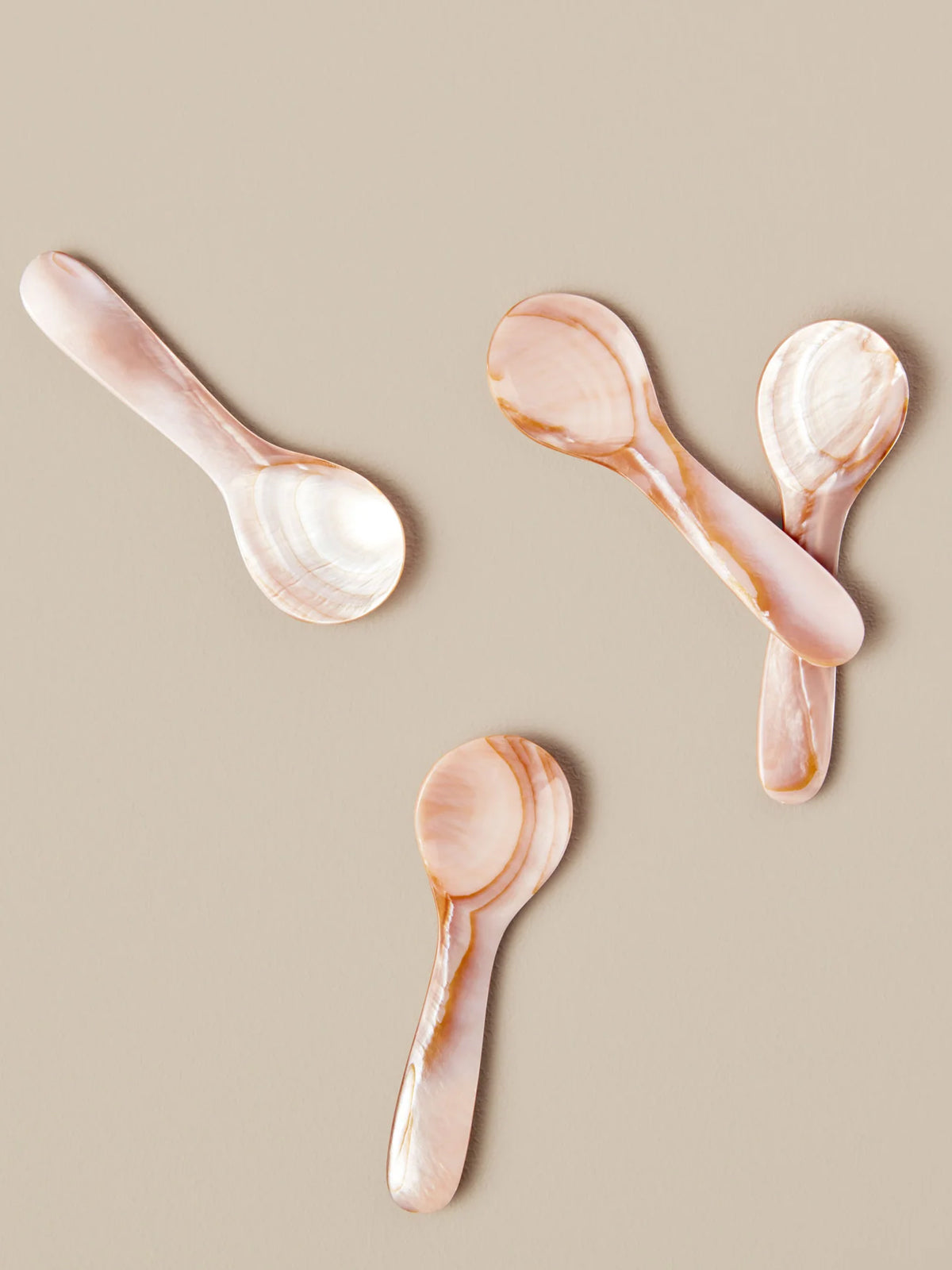Small Seashell Serving Spoon, Set of 4