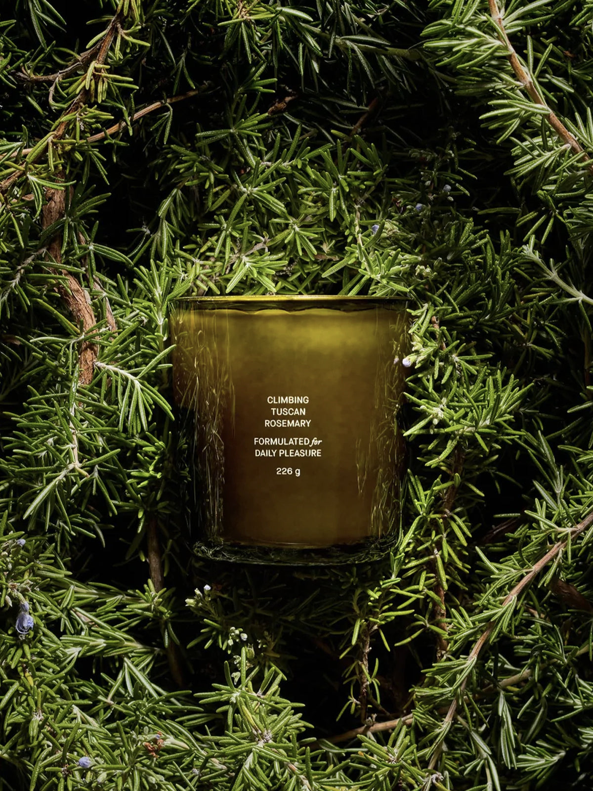 Climbing Tuscan Rosemary Candle