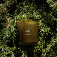 Climbing Tuscan Rosemary Candle