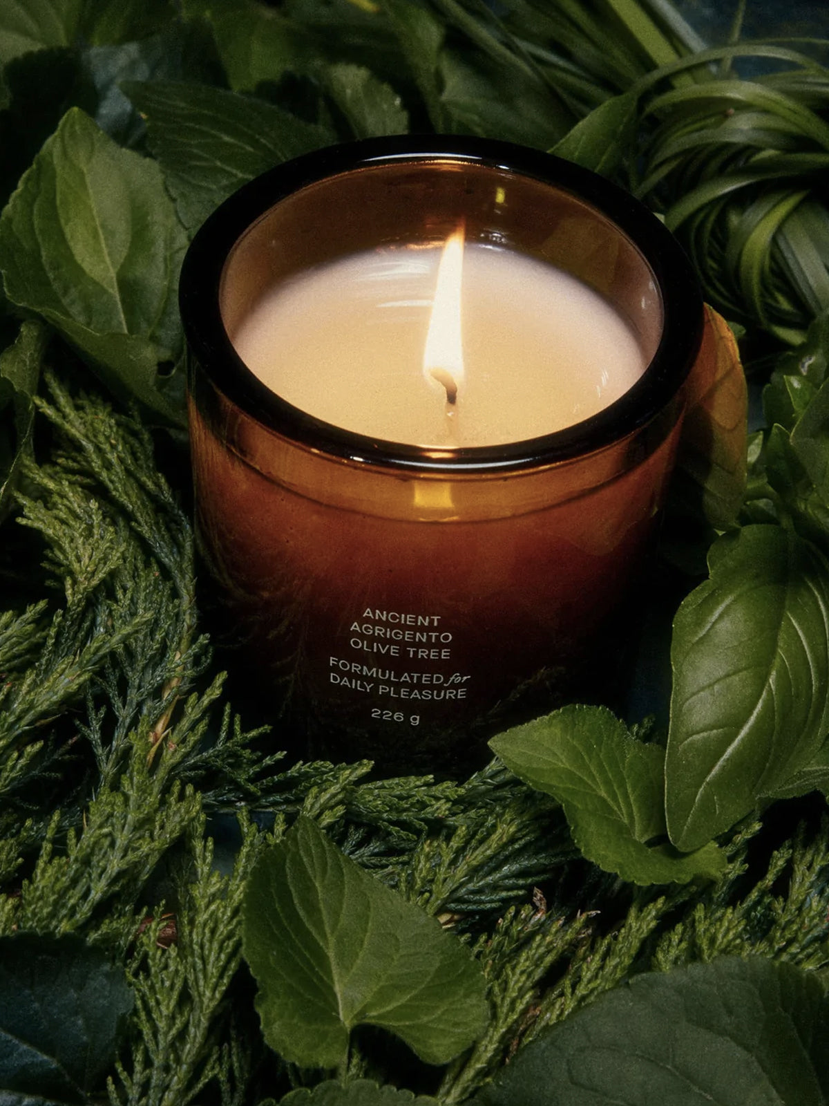 Olive Tree Candle