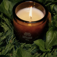 Olive Tree Candle