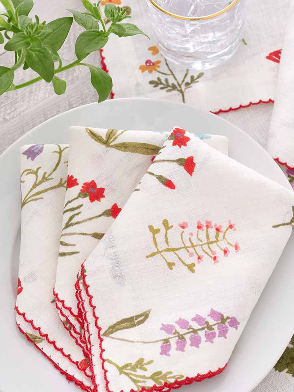 Botanical Garden Linen Napkin, Set of 2