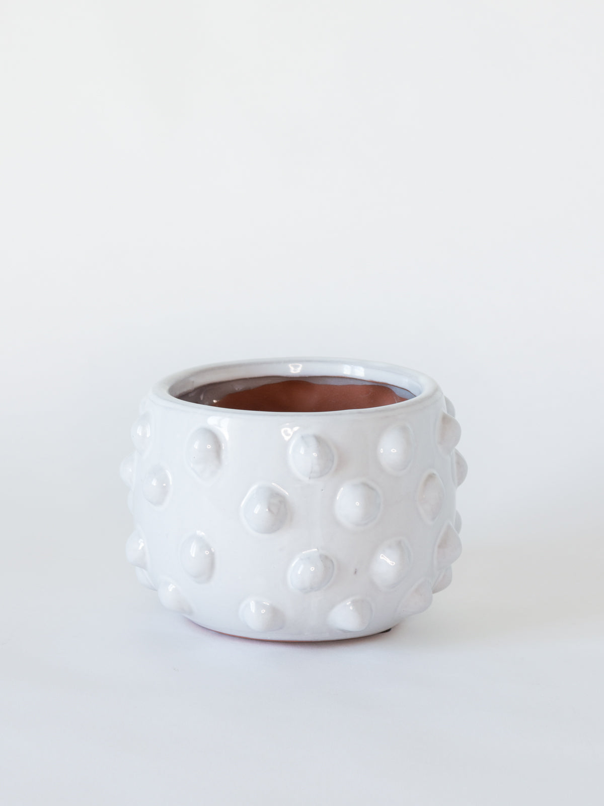 Dotted Planter